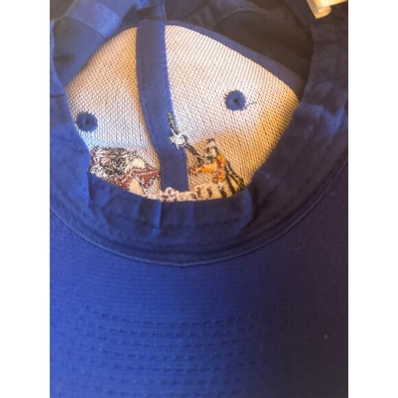 Your Despicable Warner Bros Daffy Duck Taz Blue Baseball Hat Cap Adjustable - Picture 5 of 5